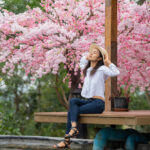 Hanami di Jepang: Tradisi Indah Menikmati Mekarnya Bunga Sakura