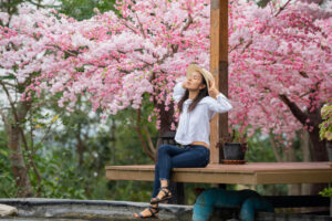 Hanami di Jepang