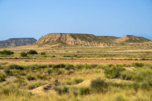 Padang sabana