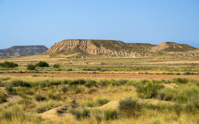 Padang sabana