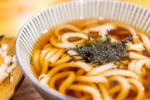 jenis udon