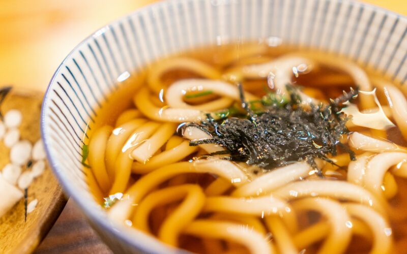 jenis udon